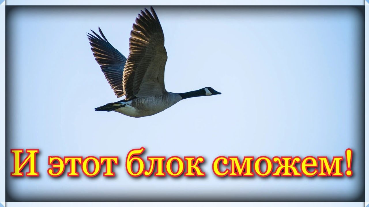 Скоростное сшивание блока 