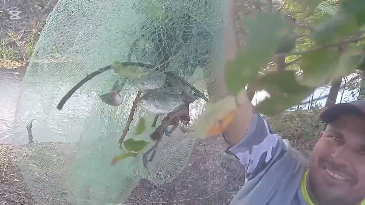 De Pesca En La Finca De Melon