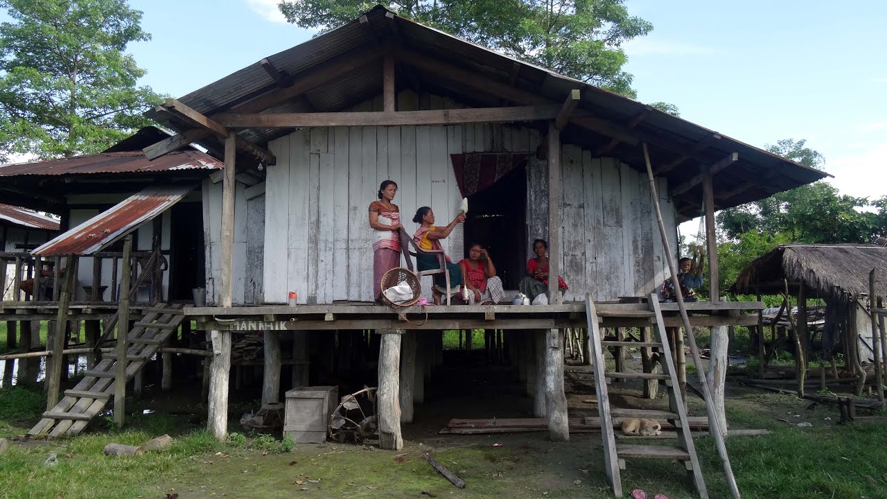 Laika Village: Dibru Saikhowa National Park