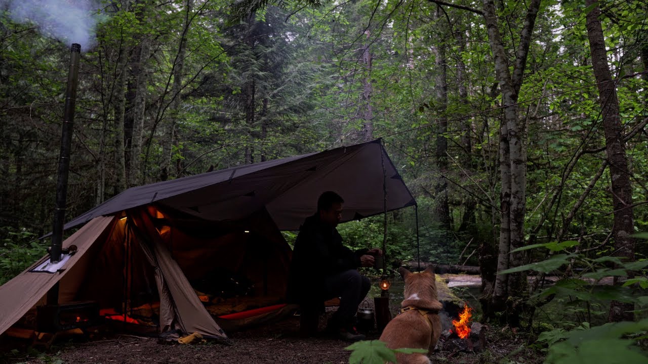 Solo Healing Camp by a Creek with my Dog - Relaxing by Campfire