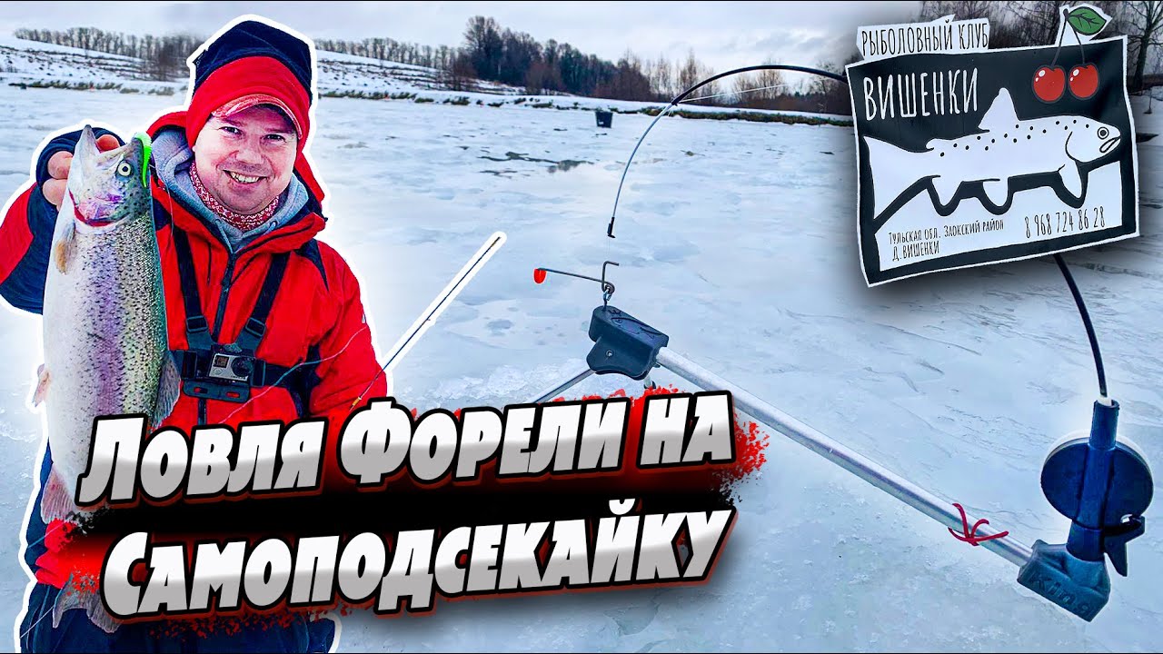 Ловля форели зимой | Форелевый безлимит | Самоподсекайка