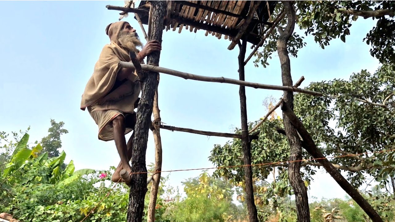 संत की कुटिया में आते हैं जंगली जानवर | संत को रहना पड़ता है ज़मीन से ऊपर | 
