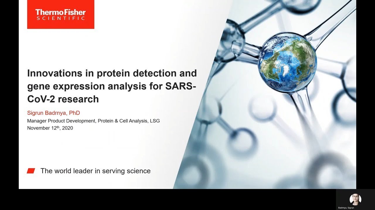 New innovations in protein detection and gene expression analysis for SARS-CoV-2 research
