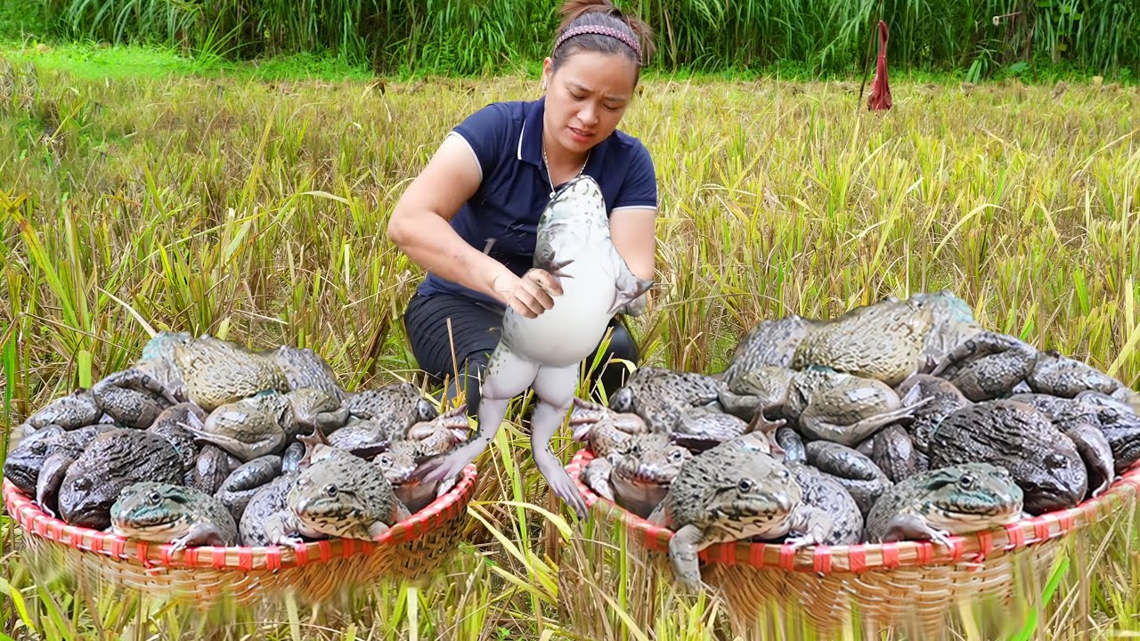 How to Catch Giant Frogs & Fish and bring them to the market to sell | LTC - Free Bushcraft