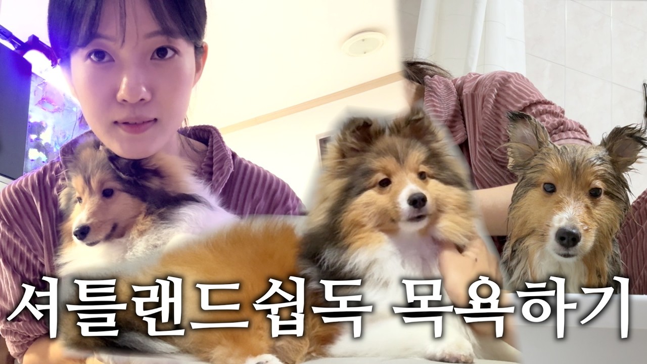 게임덕후 신혼부부의 주말일상