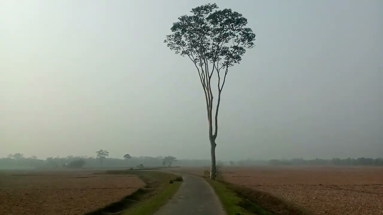 Village life 