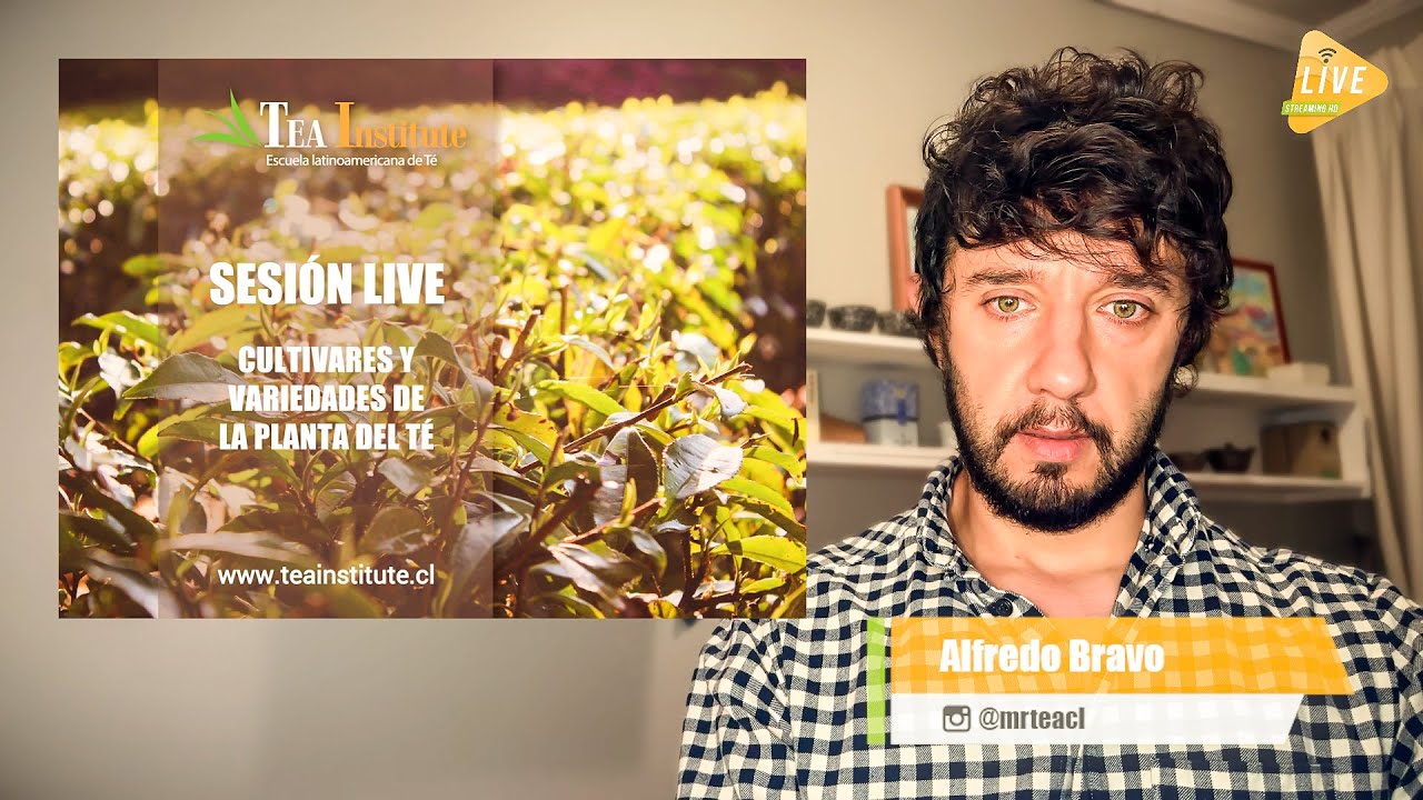 Sesión Live - Cultivares y Variedades de Planta de Té