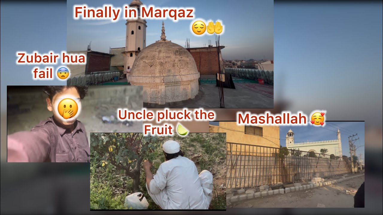Finally Reach The Marqaz😆 Uncle pluck the Fruit 🍋‍🟩 Full Watch 🥹❤️
