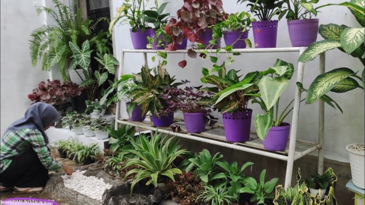 Membuat Taman Sederhana Di Belakang Rumah