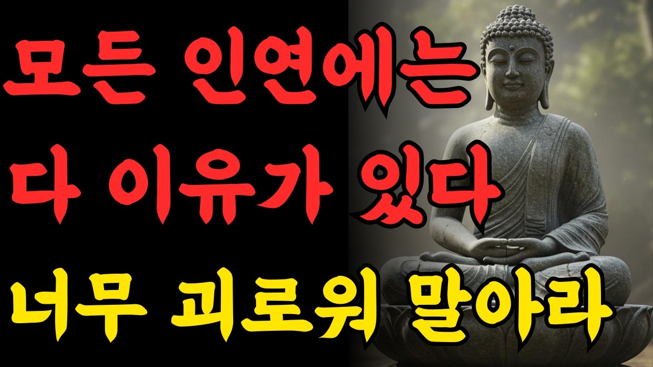 모든 인연에는 다 이유가 있다. 아픈관계도 당신의 인연이다｜부처님 말씀｜불교 명언｜인연의 법칙｜마음공부