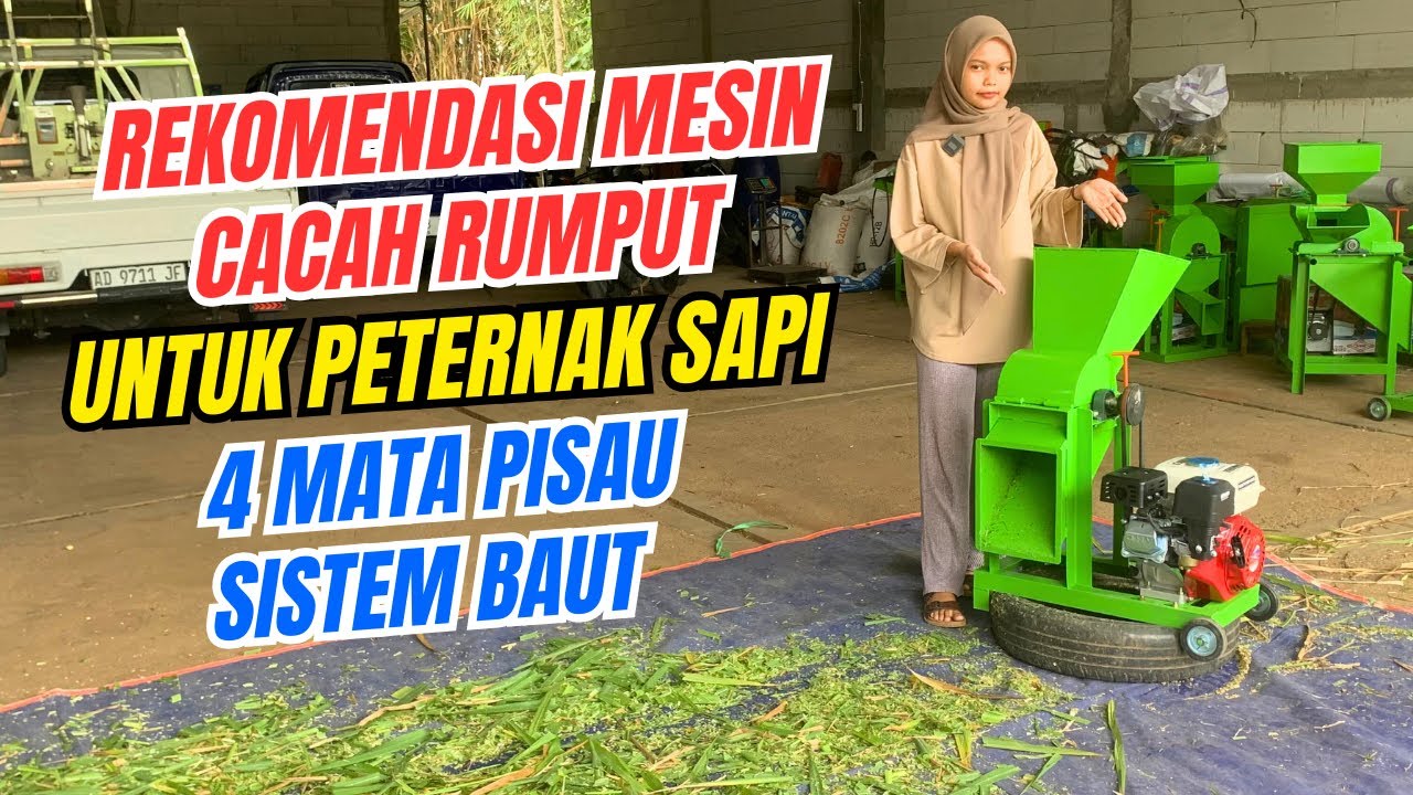 SANGAT COCOK UNTUK TERNAK SAPI MESIN COPER BT3000 #mesincacahrumput 