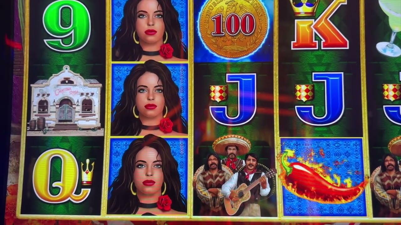 One of Those Sessions... Buffalo Link, Chica Bonita, & Corrida de Toros