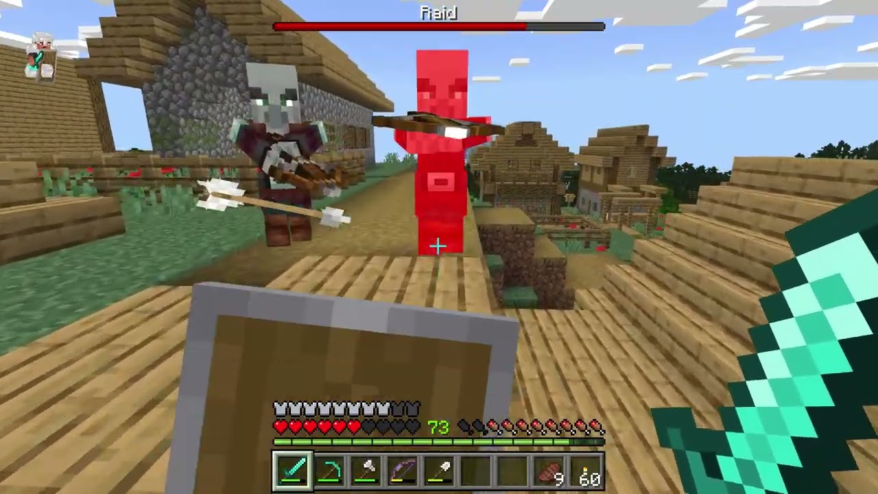 Minecraft. RAIDERS RAID