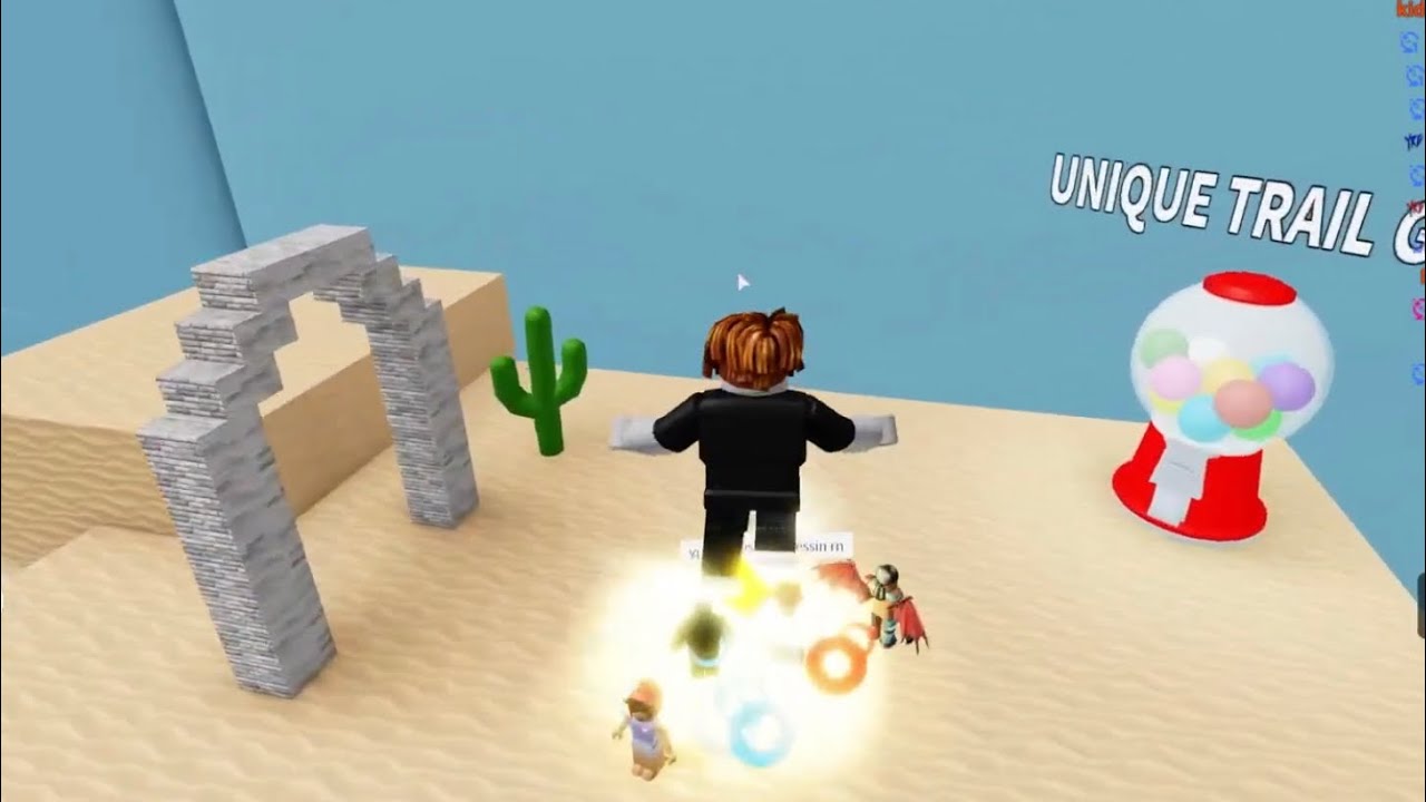 I played roblox