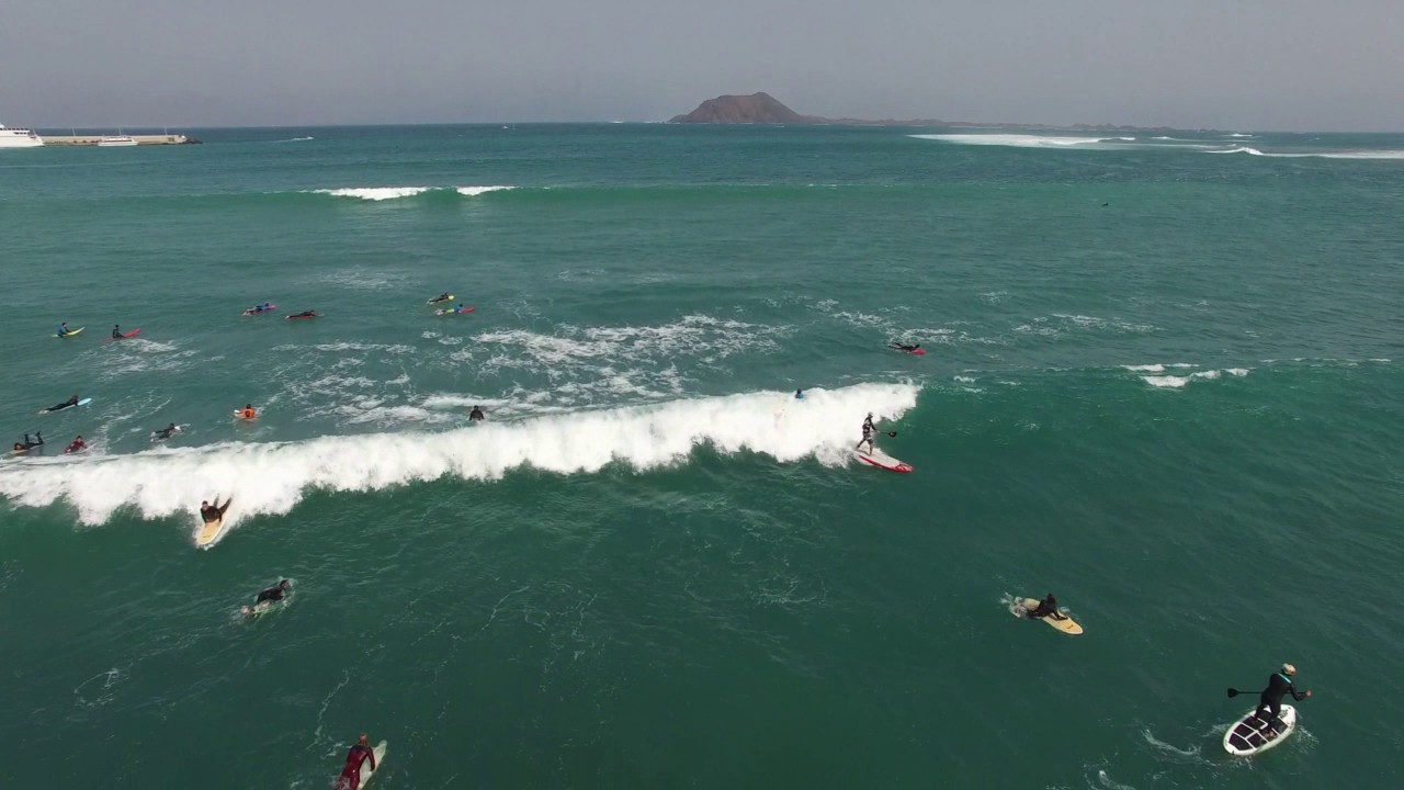 SHARKS IN CORRALEJO - FUERTEVENTURA