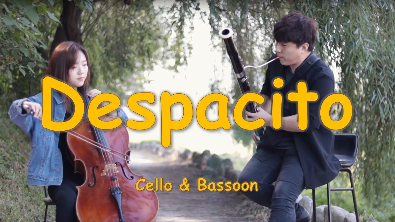 Despacito _ Cello & Bassoon _ Collabo Series