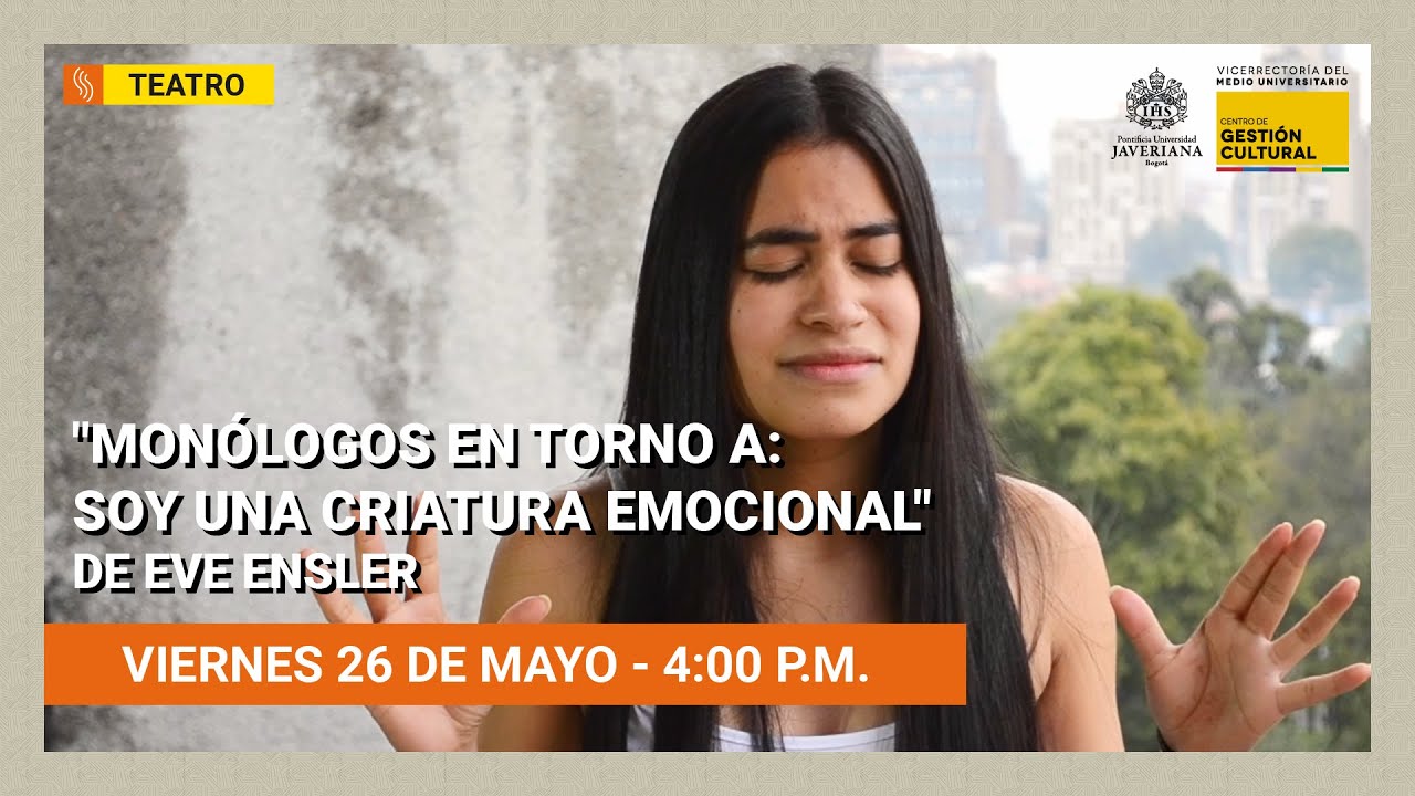 Video Obra 