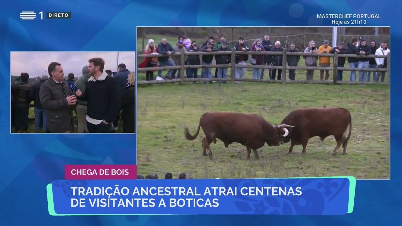 Aqui Portugal - Chega de Bois | 2023 | BOTICAS