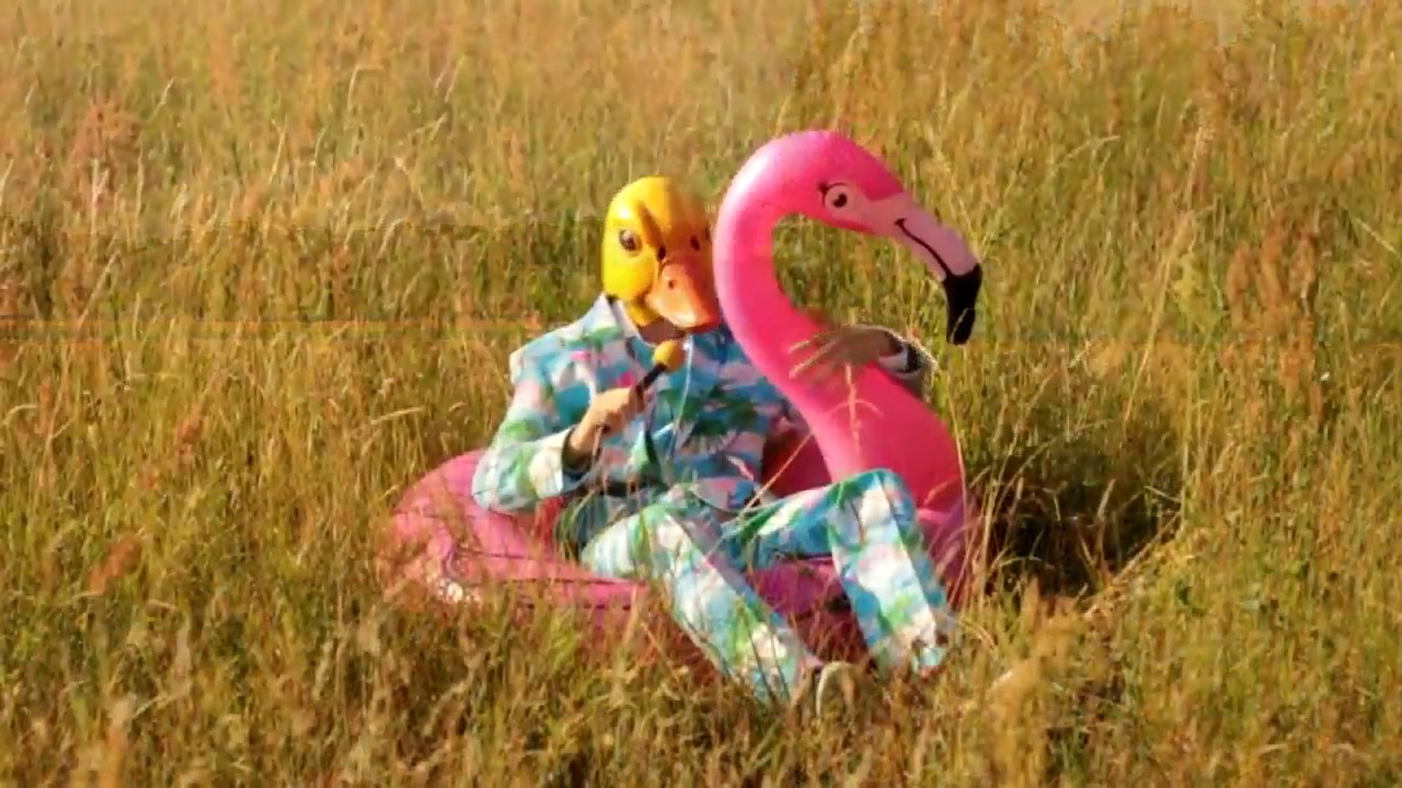 Ingo ohne Flamingo - Hartz 4 und der Tag gehört dir [Official Video]