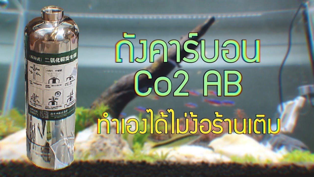 TaeDoตู้ไม้น้ำ EP.1 อัพเกรดตู้ไม้น้ำ ถัง CO2 แบบ AB
