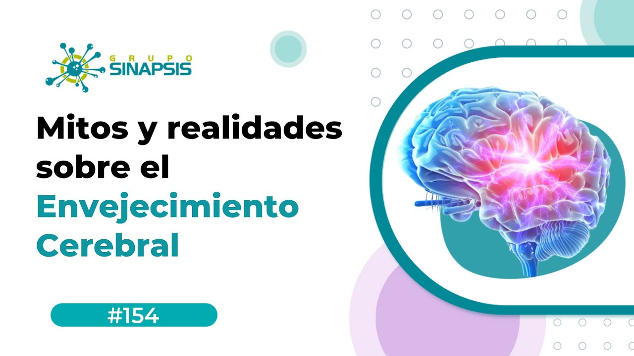 Mitos y realidades sobre el envejecimiento cerebral.