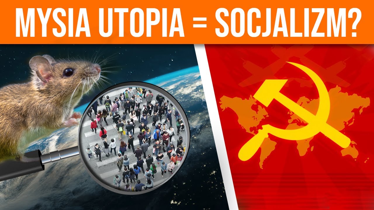 Dokąd zmierza świat? Mysia utopia, czyli Eksperyment Calhouna