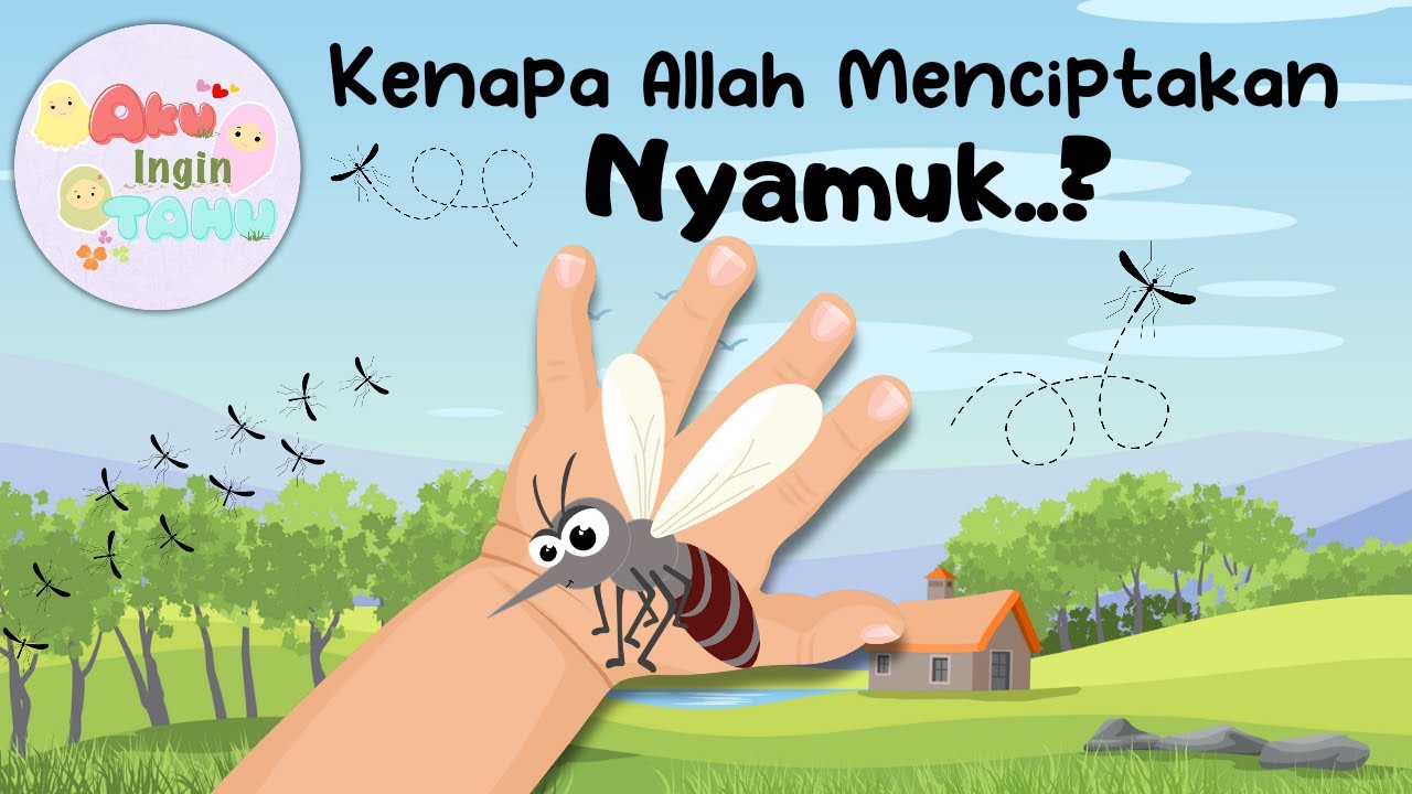 Aku Ingin Tau - Kenapa Allah Menciptakan Nyamuk ?