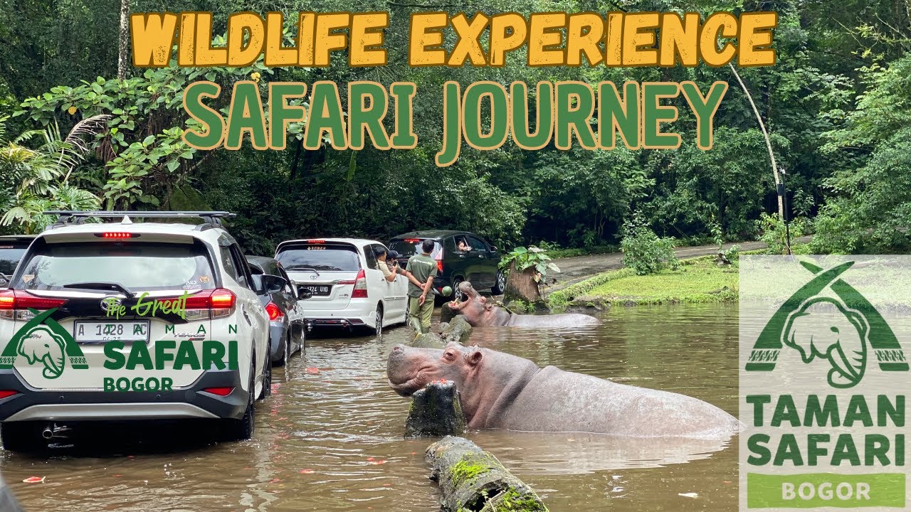 TAMAN SAFARI BOGOR // WILDLIFE EXPERIENCE JOURNEY
