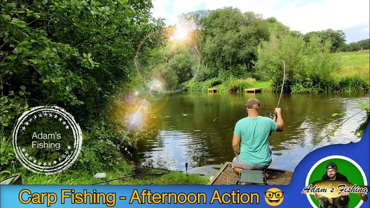 Carp Fishing - Afternoon Action 🤓
