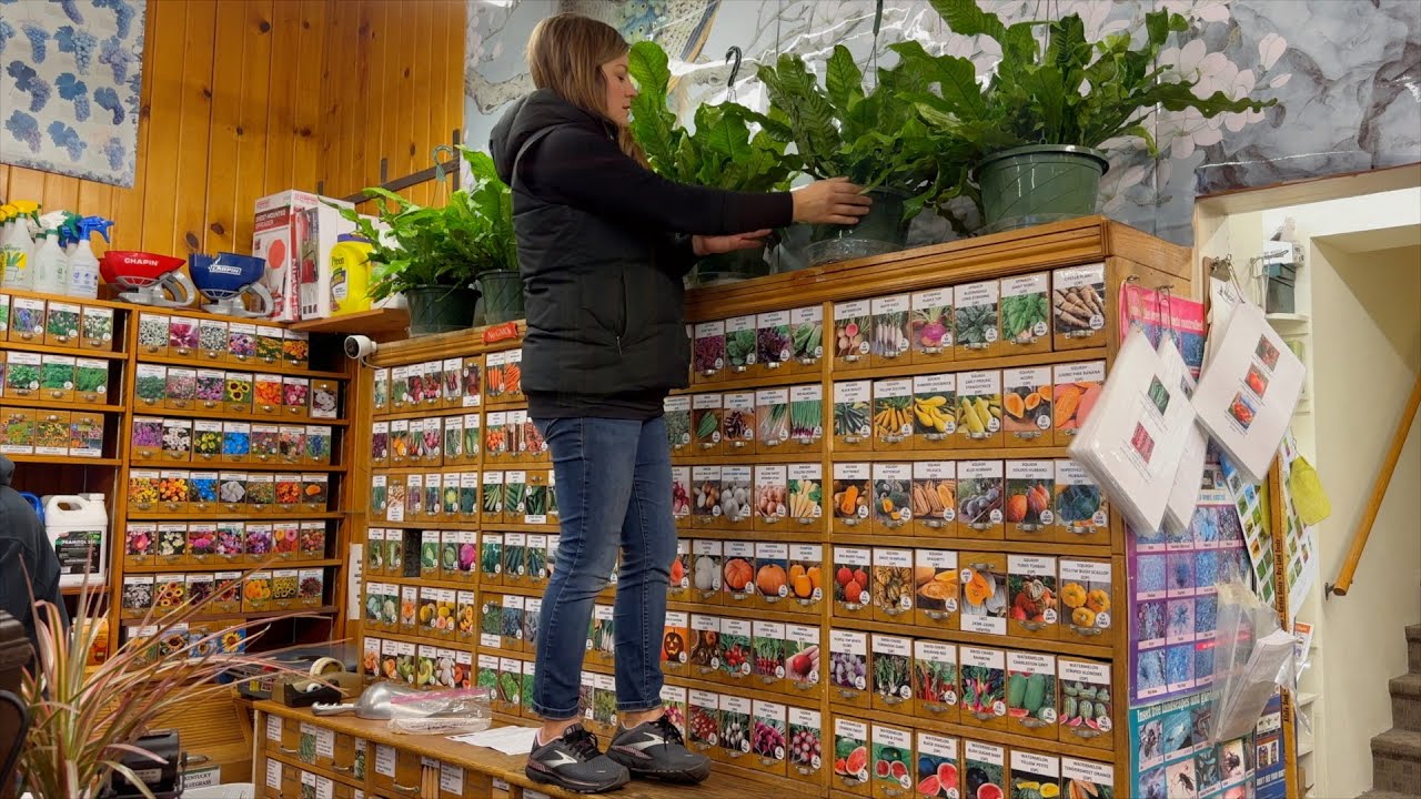 New Houseplant Load at the Garden Center! 🪴🌿💚 // Garden Answer