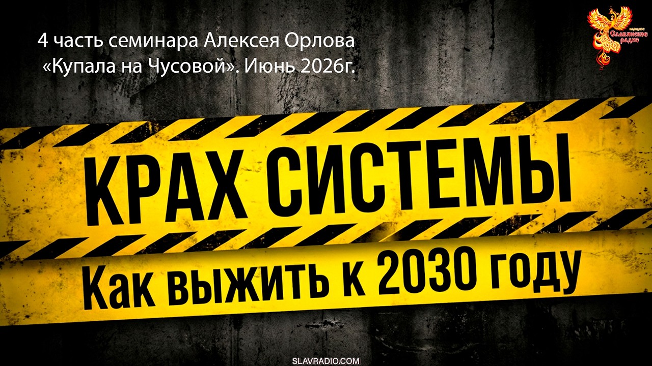 Крах системы. Как выжить к 2030 году