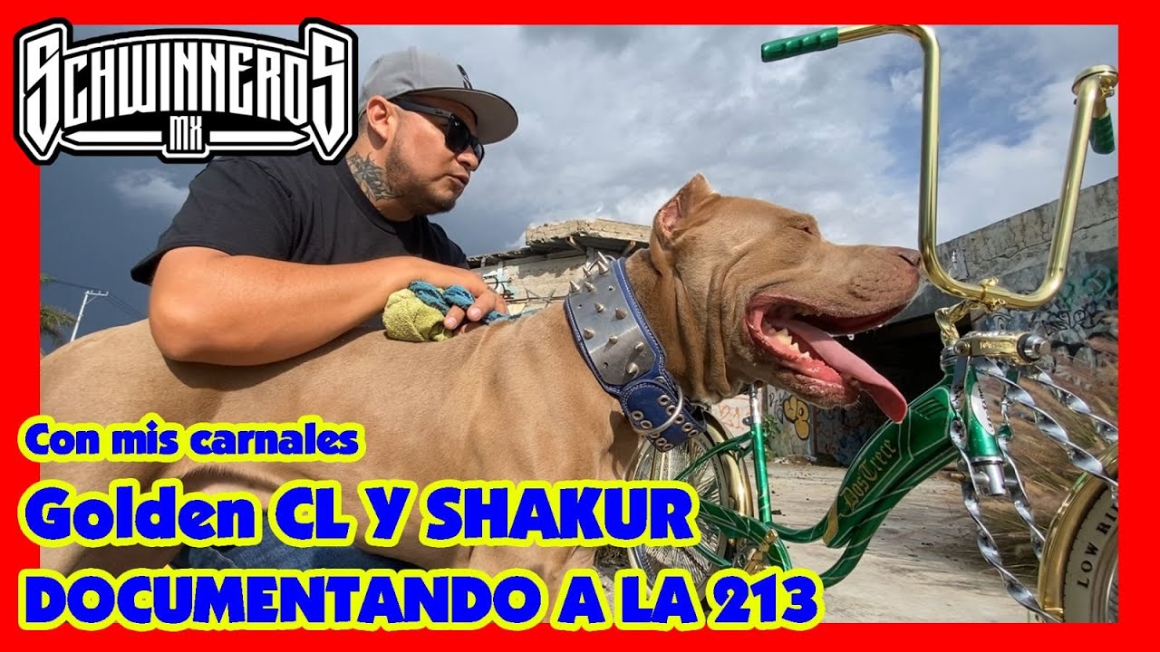 Tabernario - con mis carnal golden cl y el shakur documentando la 213.