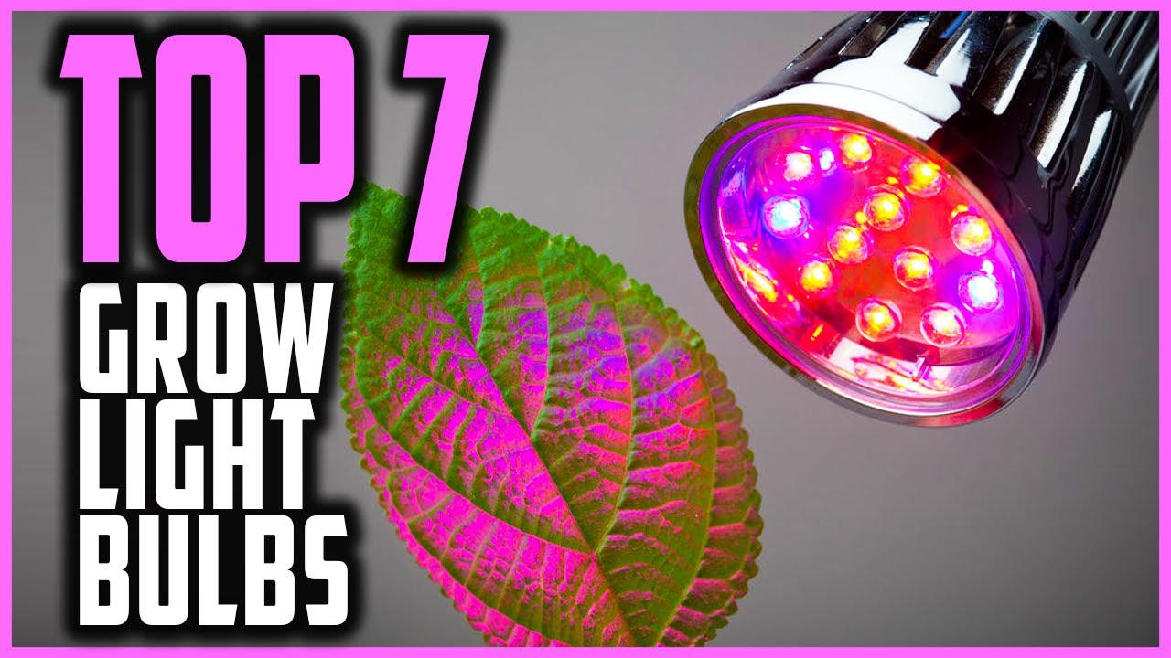 Best Grow Light Bulb In 2021 | Top 7 Amazing Grow Light Bulbs For Your Indoor Gardening
