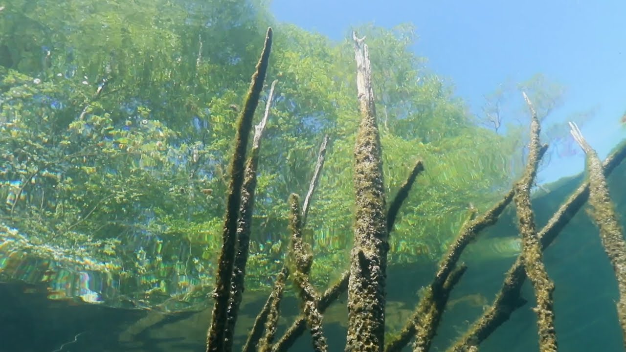 Tauchen im Kreidesee - Hemmoor 2017