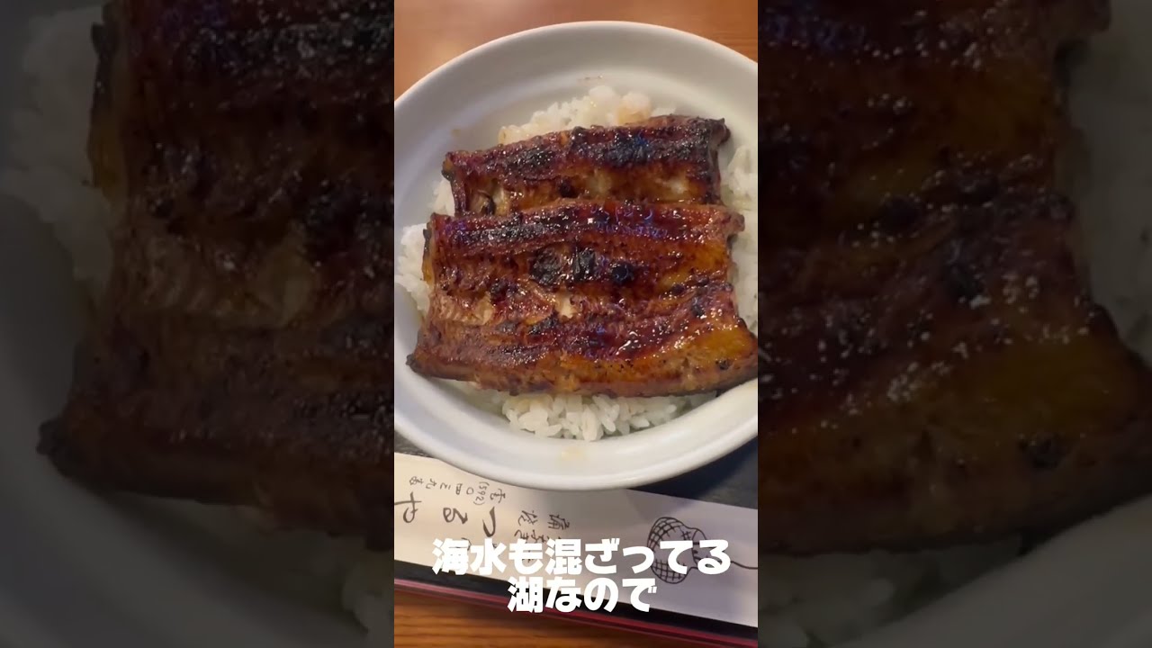 KAREN浜名湖with Dogに犬連れ旅行！