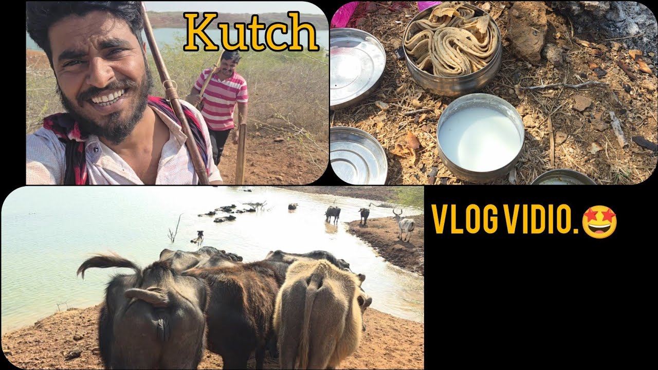 Vlog vidio 1 😘..kutchi malldhari..#animals 
