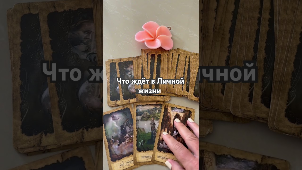 #таро #chill #tarot #cover #гадание #таролог #тароонлайн #гаданиетаро #гаданиеонлайн