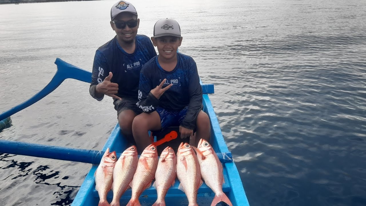 Panen Baby Ruby Snapper