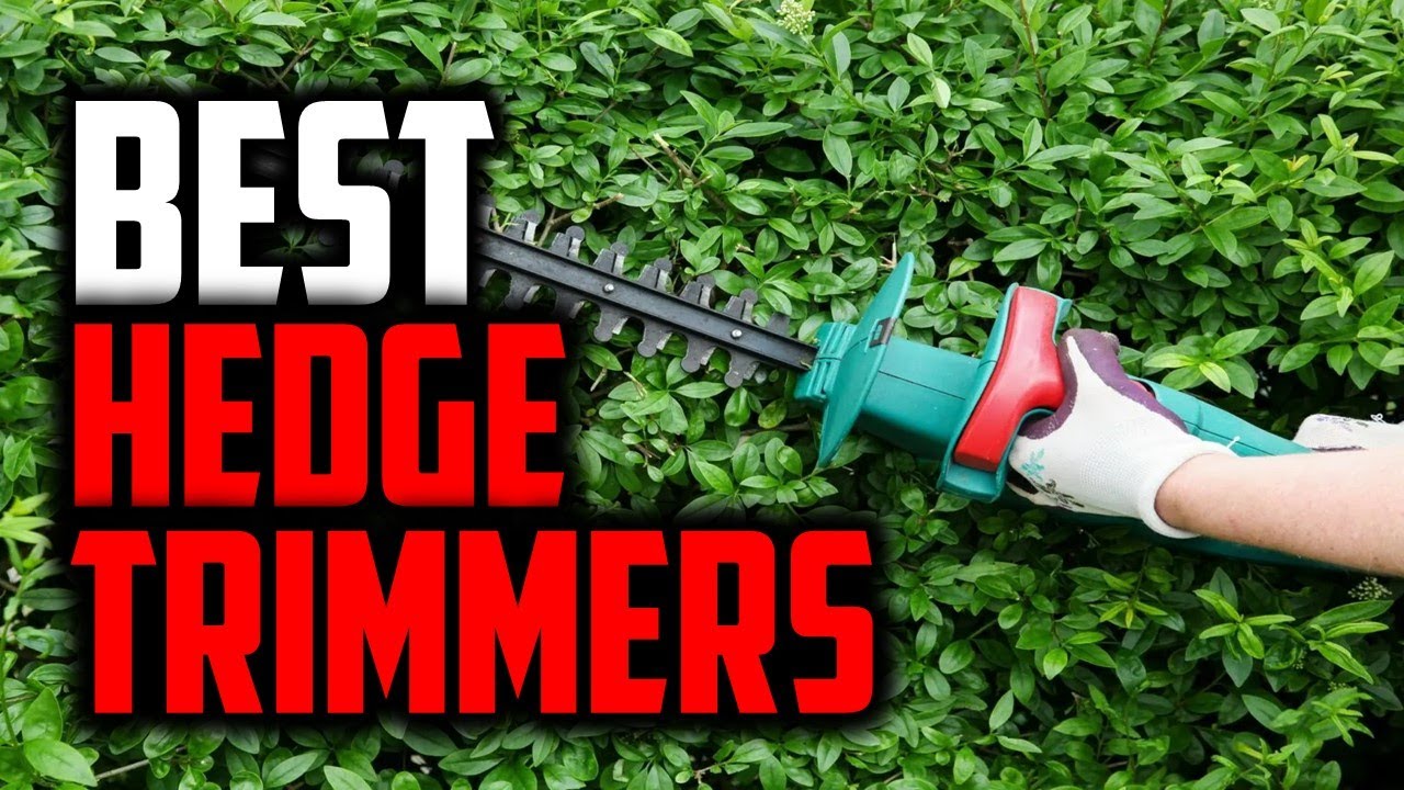 Best Hedge Trimmers in 2021 - Top 5 Hedge Trimmers