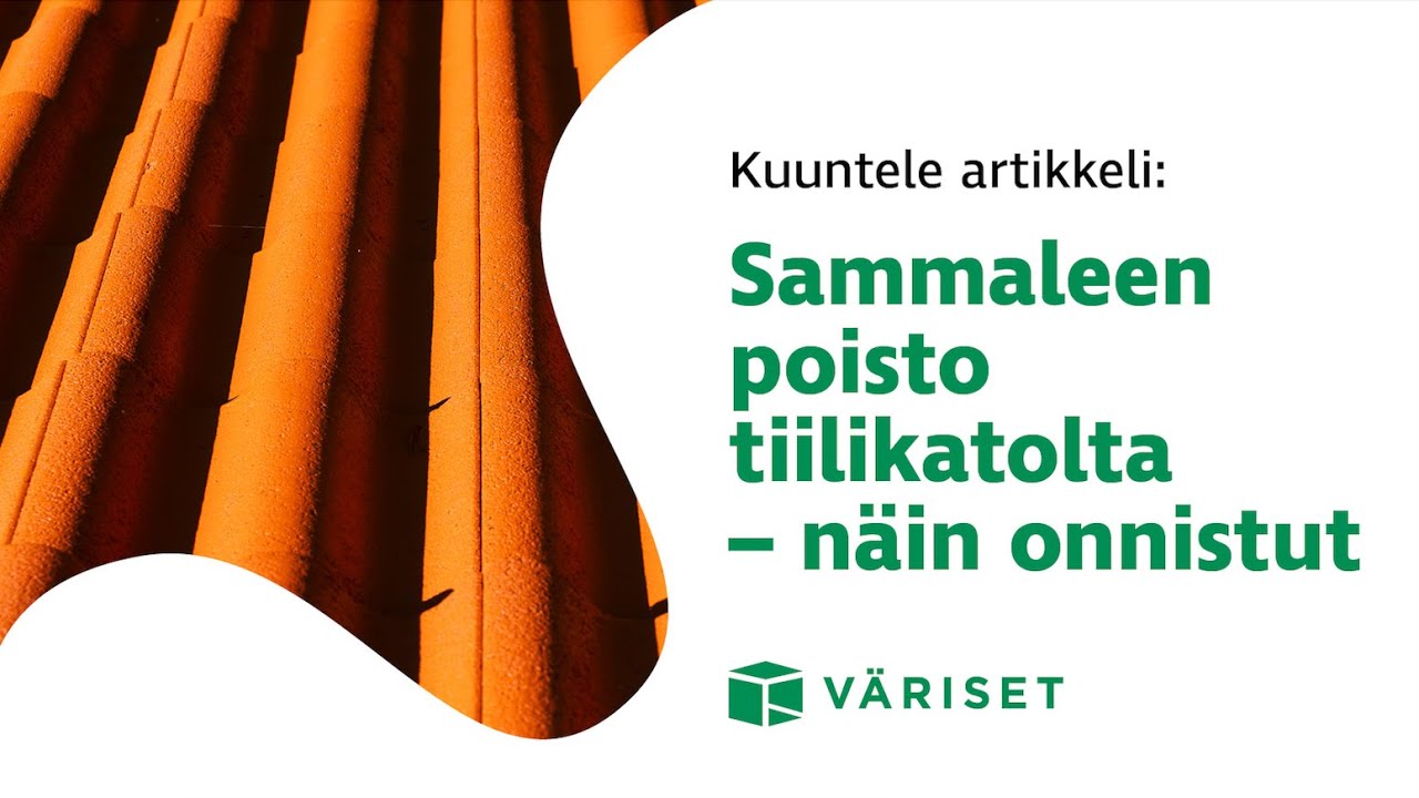 Kuuntele artikkeli: Sammaleen poisto tiilikatolta – näin onnistut