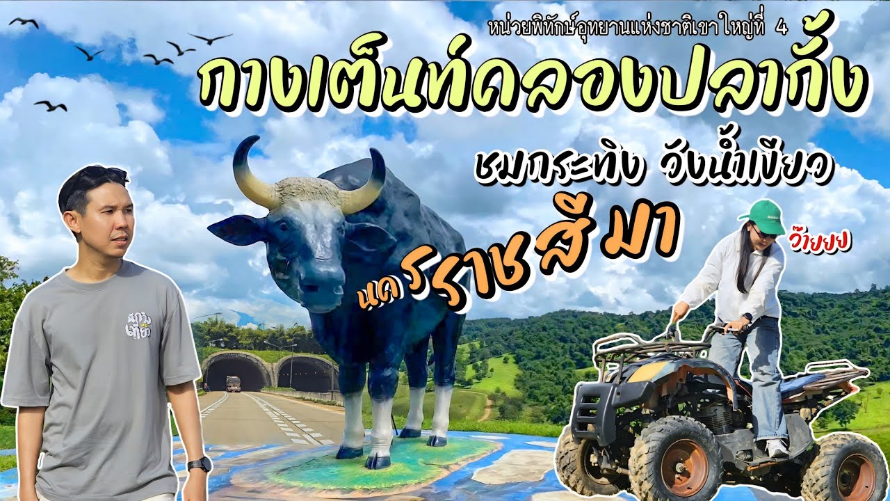 EP.14 กางเต็นท์คลองปลากั้ง ชมกระทิง วังน้ำเขียว นครราชสีมา | นักวิ่งหนีเที่ยว