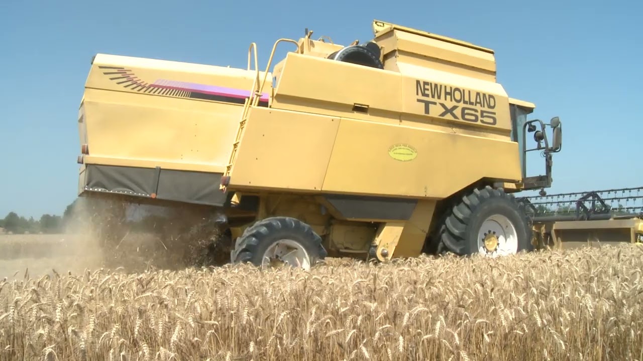 New Holland TX65 Plus la classica mietitrebbia al lavoro