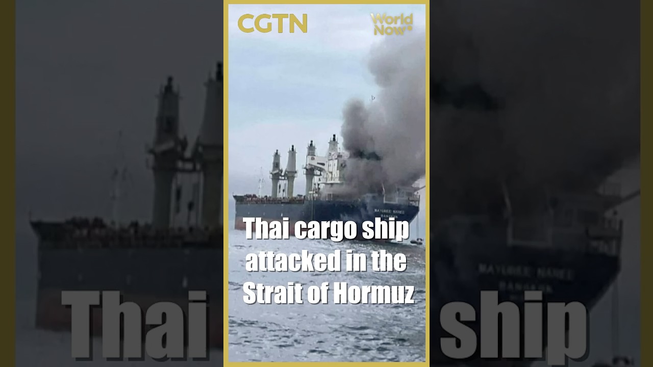 Thai cargo ship attacked in the Strait of Hormuz