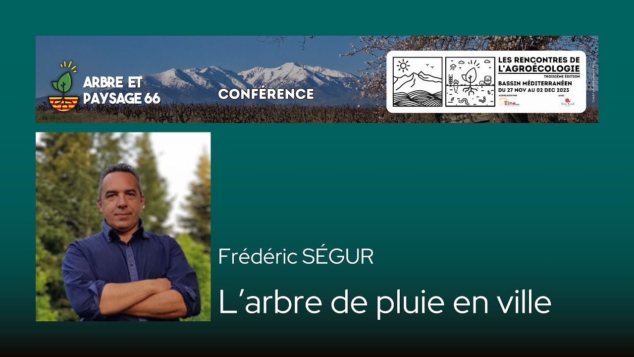 Frédéric Ségur - L'arbre de pluie en ville - Rencontre de l'agroécologie 2023