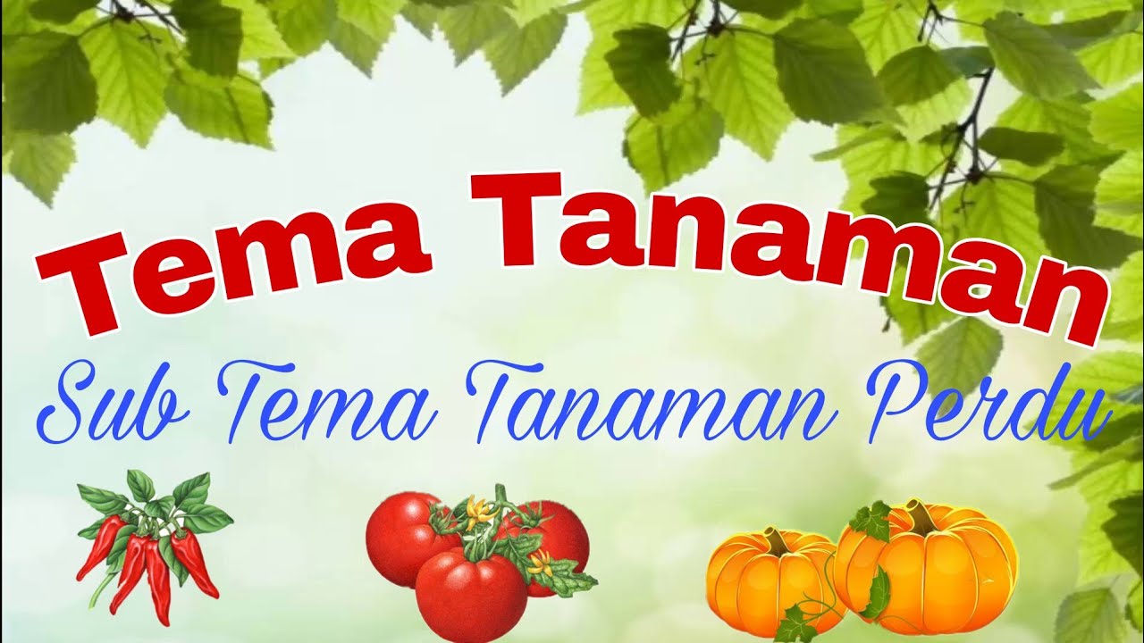 Tema Tanaman Sub Tema Tanaman Perdu