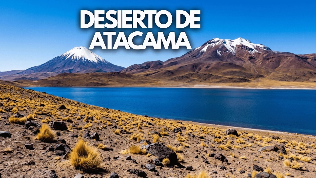 Desierto de Atacama | Cómo sobreviven las personas donde nunca llueve | Documental de viajes