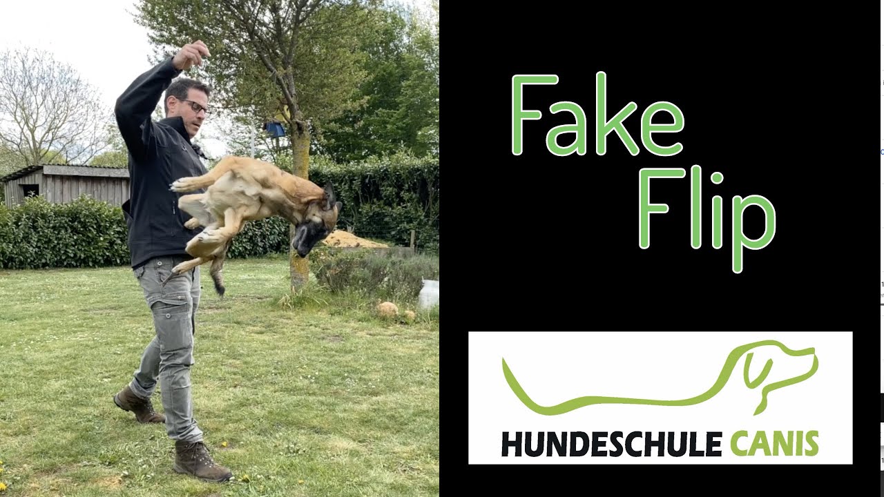 Fake Flipp / Baumwende - Hundeschule Canis