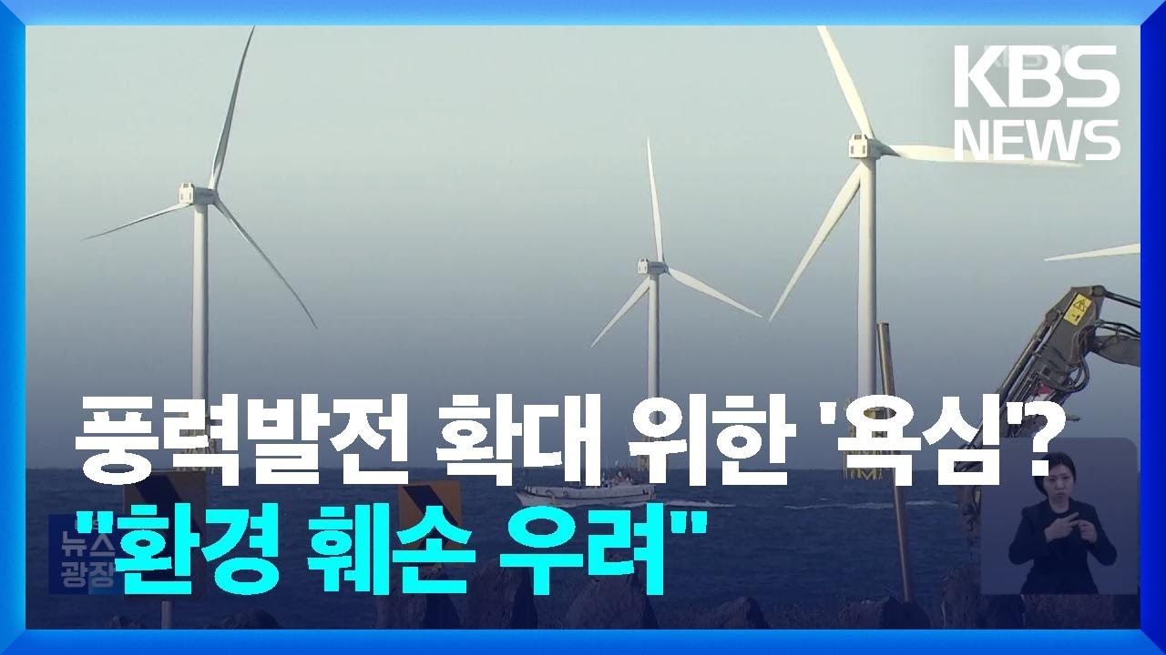 해상풍력 인허가 절차 줄인다…‘환경성’은 우려 / KBS  2025.02.24.