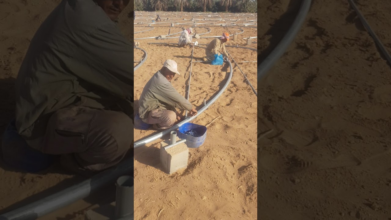 مرحلة تركيب حمالة المحصول حصاد البيادر