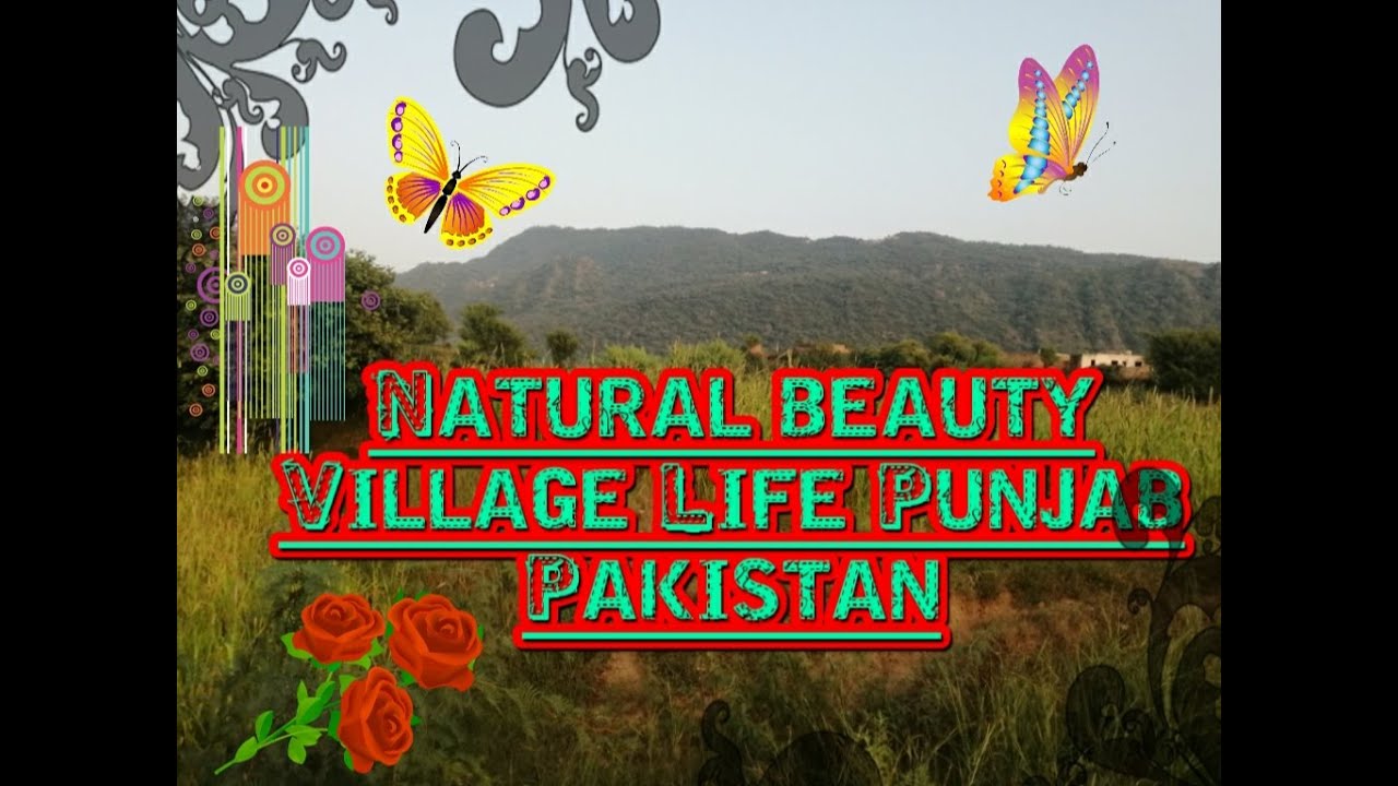 Village Fore pothi Natural beauty in Punjab Pakistan___Tilla Jogian jhelum
